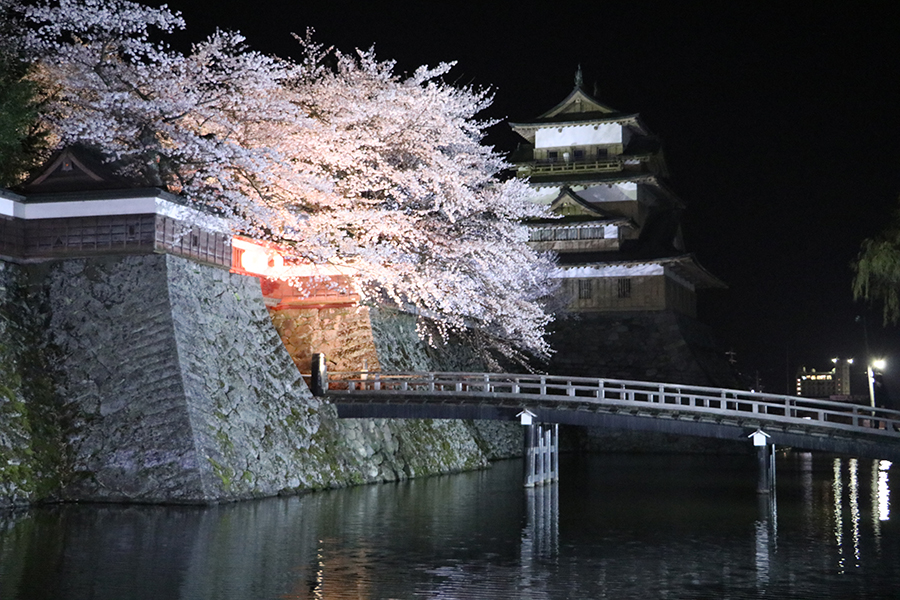 夜桜と高島城